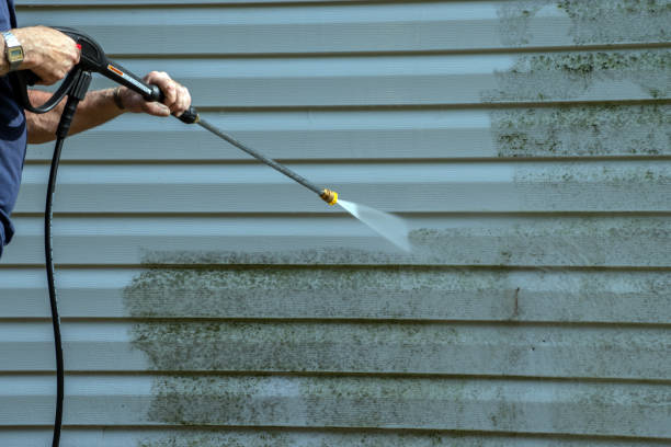 Best Building Exterior Pressure Washing in Frankston, TX